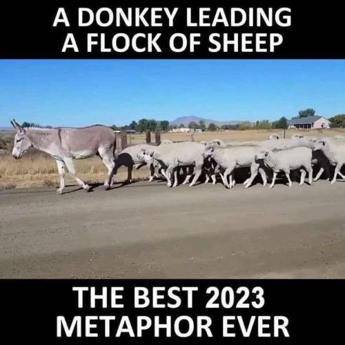 USA best metaphor