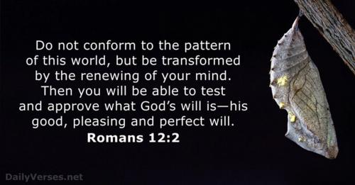 IMG_20230716_073700_559