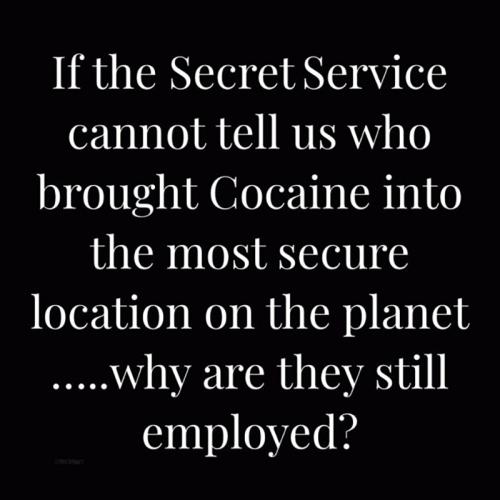 USA Secret Service