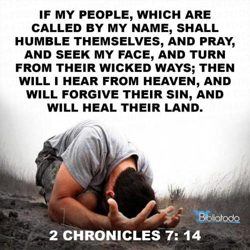 IMG_20230714_092241_534