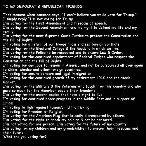 Voting - What I am voting for