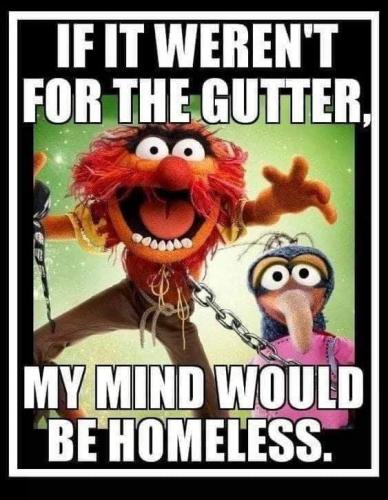 67167344_10215108979899834_588388851441991680_n