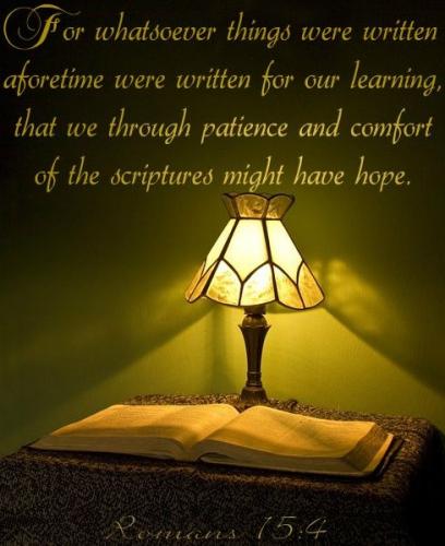 IMG_20230725_091252_199