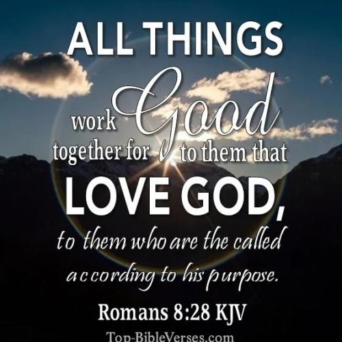 IMG_20230709_091554_703