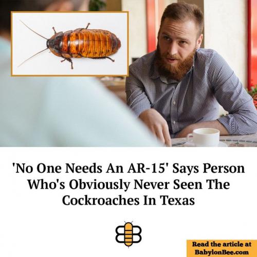 363332214_613223380981407_6026731879057918842_n