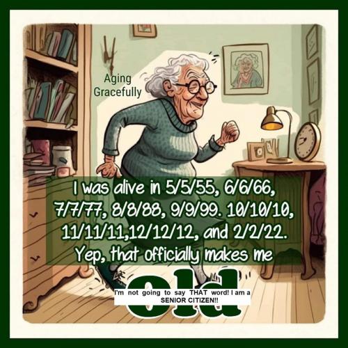 347587192_246130644882709_3639411444843224025_n