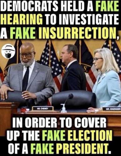 USA fake hearing