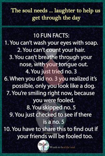 10 Fun Facts