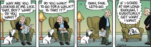 Screenshot 2023-07-06 at 06-49-07 Pickles by Brian Crane for July 06 2023 GoComics