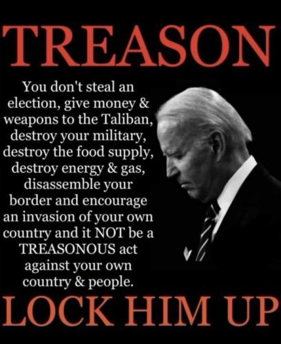 Biden - Treason