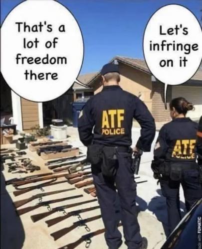 freedom1