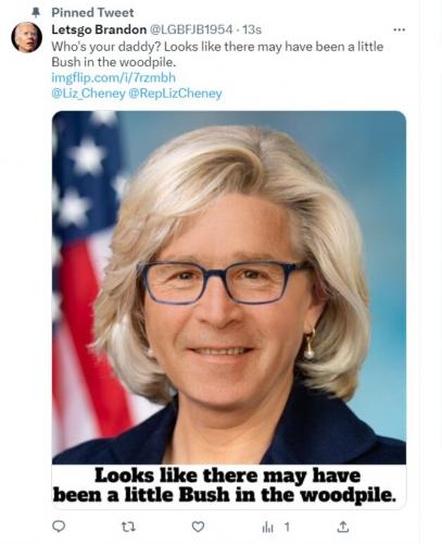 Letsgo Brandon Bush in the woodpile tweet