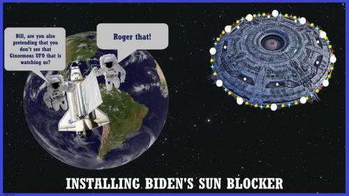 BIDENS SUN BLOCKER-5 (3)