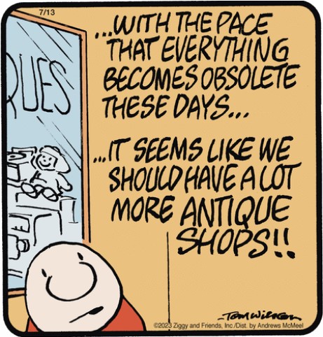 Screenshot 2023-07-13 at 06-50-33 Ziggy by Tom Wilson & Tom II for July 13 2023 GoComics