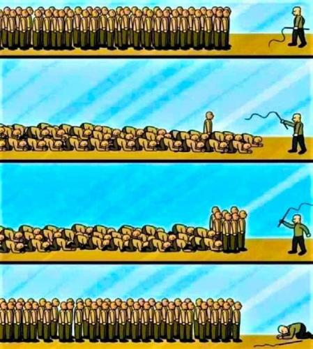 347387678_248439077937887_6932655595666666558_n