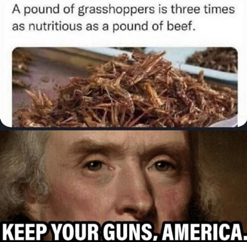 M grasshoppers