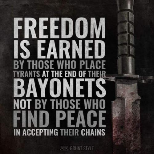 M Freedom earned