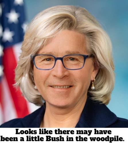 Looks like there may have been a little Bush in the woodpile.960px