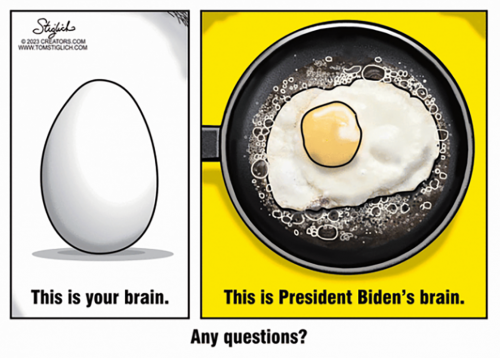 RO brain