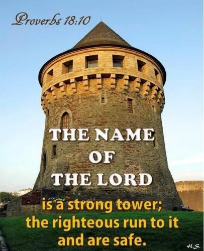 IMG_20230715_115903_685