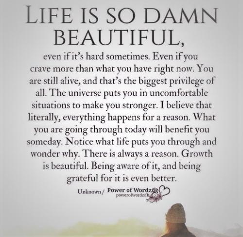 073023 - Life is beautiful