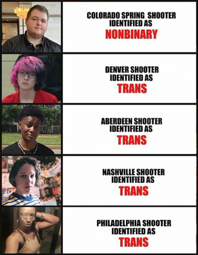 M Trans shooter