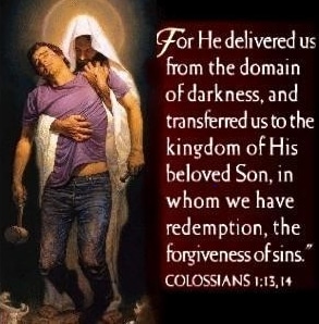 IMG_20230721_084927_346