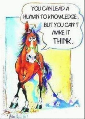 355711342_970390404163764_8914266918151143134_n