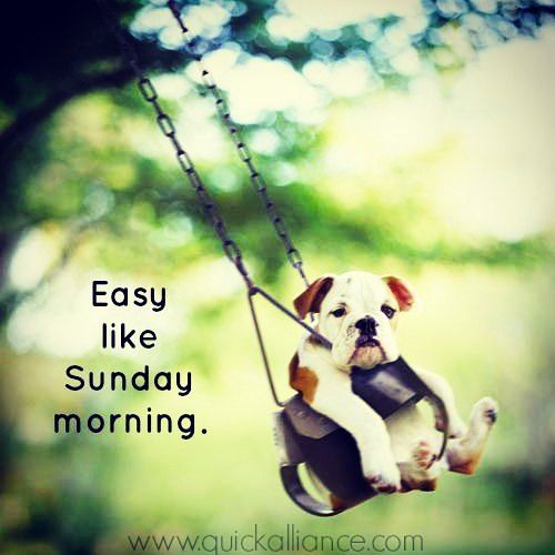 de5bffdce37d584d91e1d798a89b2581--instagram-posts-sunday-morning