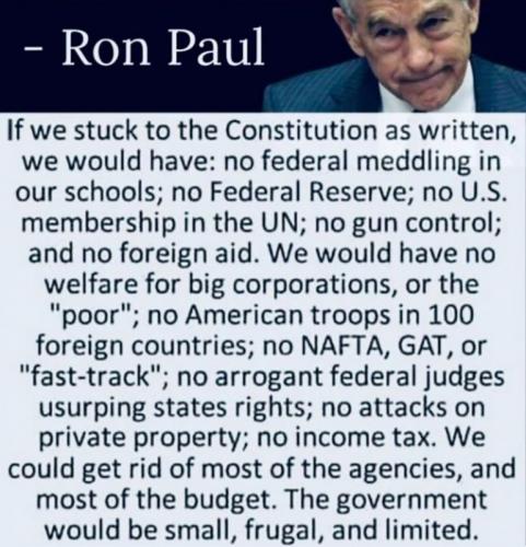 USA Ron Paul 02