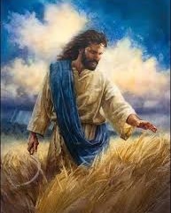 IMG_20230705_080216_747