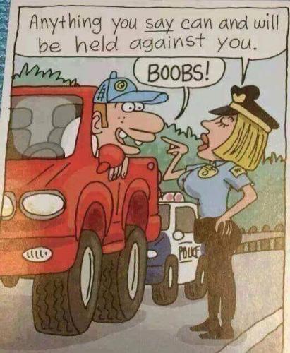 Cartoon - Boobs