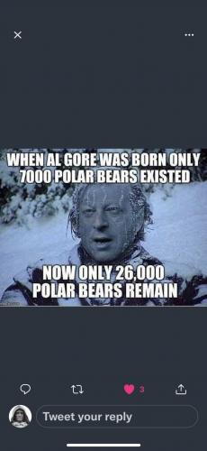 POLAR BEARS   TS