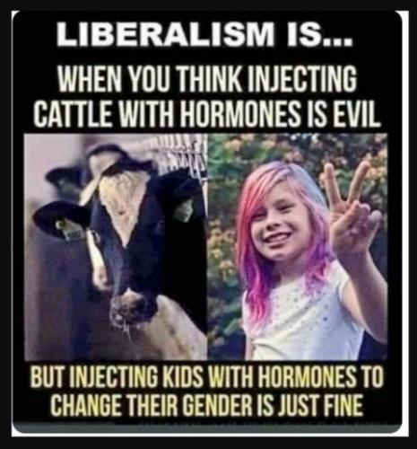 injecting cattle kids