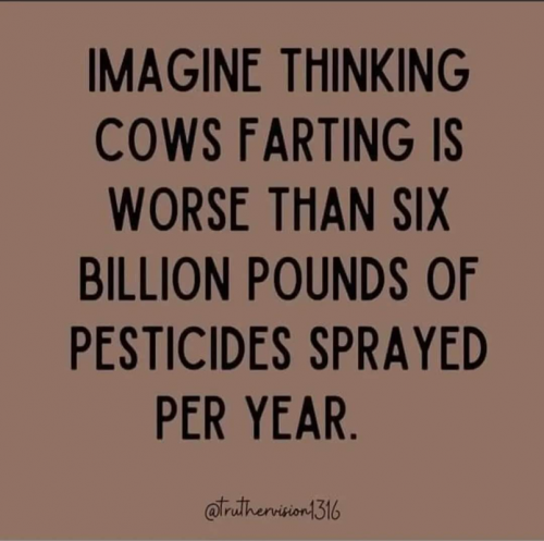 M cows farting