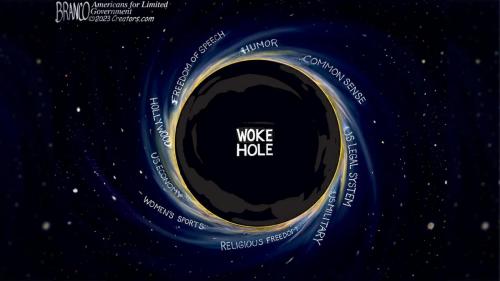 Political-Cartoon-7-16-2023-.-Woke-Hole