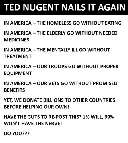 RO Ted Nugent