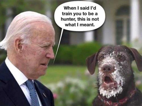 RO Hunter