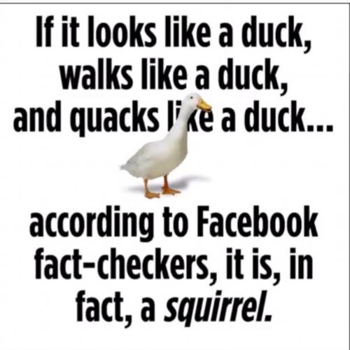 Screenshot_20230710_192917_DuckDuckGo