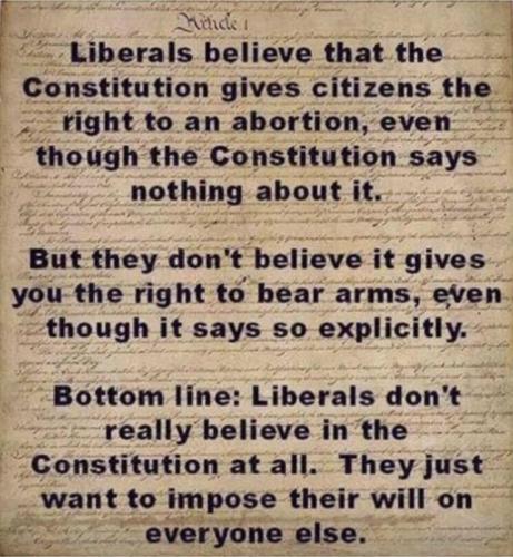 M Libs Constitution
