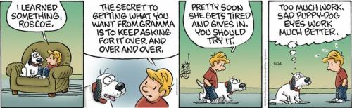 Screenshot 2023-06-24 at 06-54-08 Pickles by Brian Crane for June 24 2023 GoComics