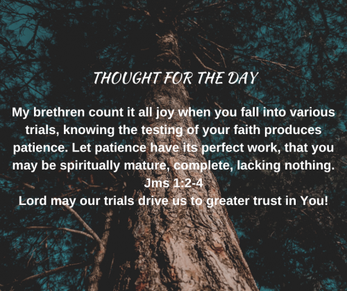 TWEET 7-21-23
