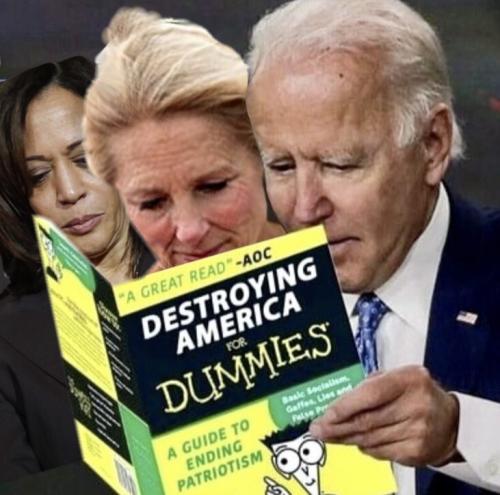 BIDEN -- Braindead Idiot Destroying Every Nation - Destroying America for Dummies
