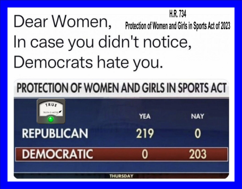 RO Dems hate women