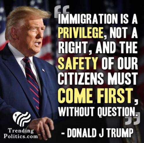 M Immigration
