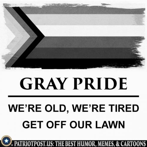 RO Gray pride