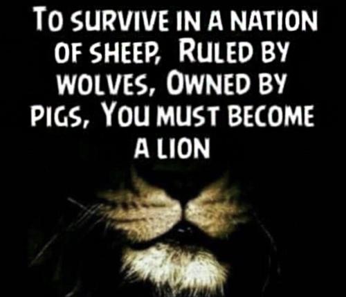 M To Survive