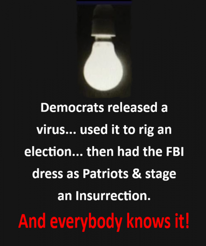 USA Dems virus