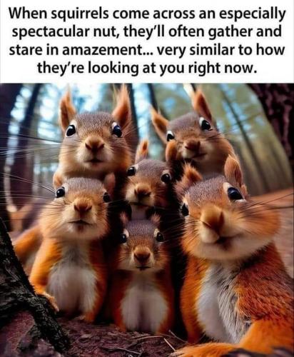 Squirrel Family Staring at Flat Earthers