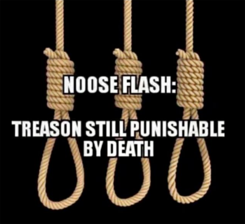USA Noose flash